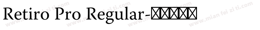 Retiro Pro Regular字体转换